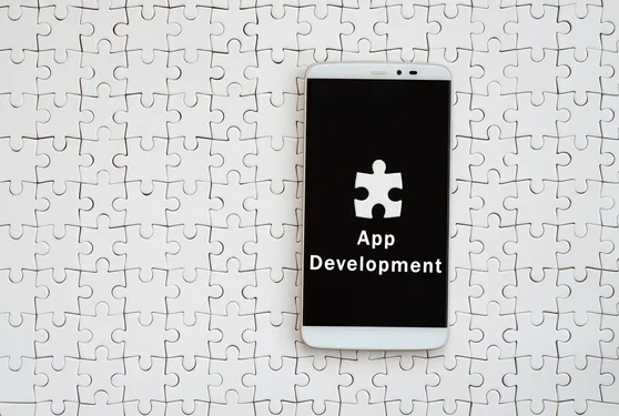 carpool app development
