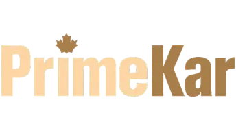 team logo 13