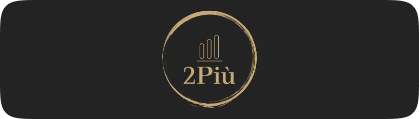 2piu bv logo