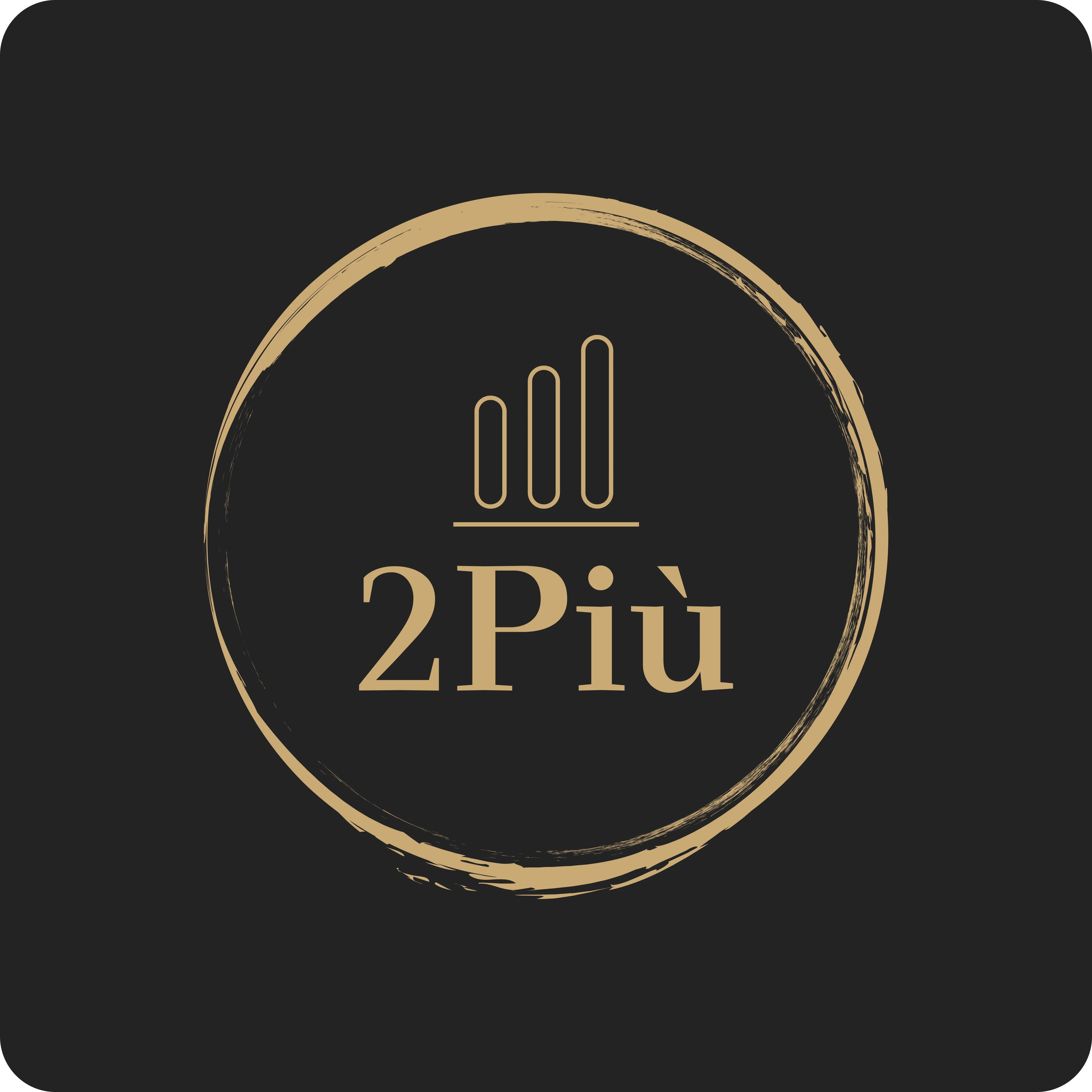 2piu bv banner image